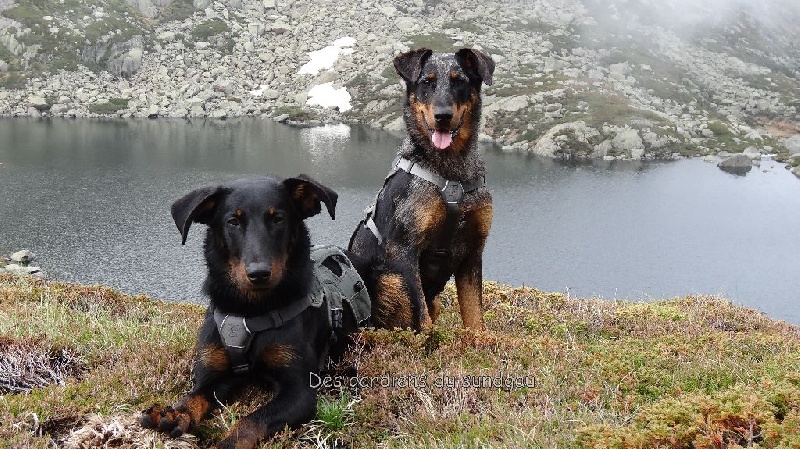 Vacances dans les Pyrénées